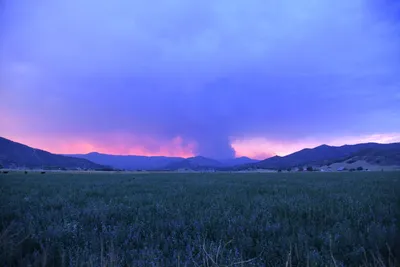 DSC_1848 (Large).JPG